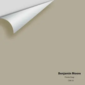 Benjamin Moore - Finnie Gray CW-55 Colour Sample