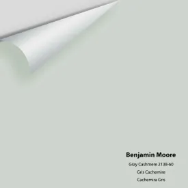 Benjamin Moore - Gray Cashmere 2138-60 Colour Sample