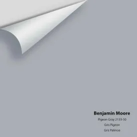 Benjamin Moore - Pigeon Gray 2133-50 Colour Sample